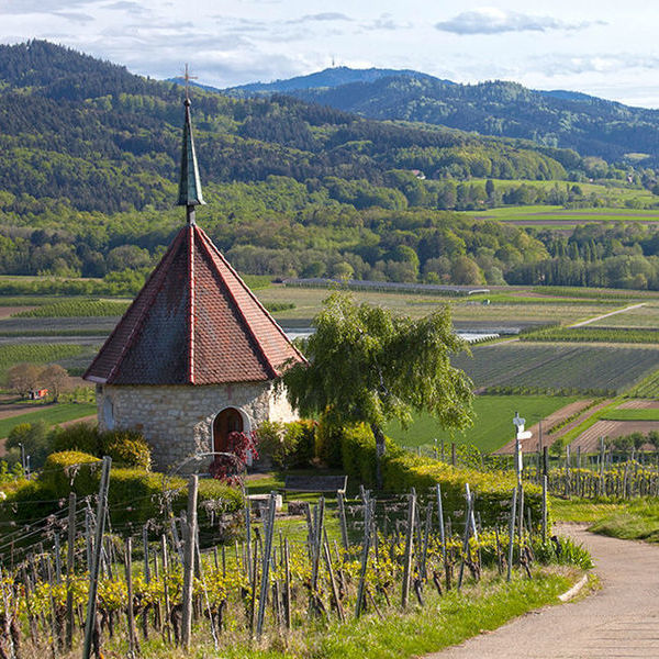 Foto 4 von Weingut Gasthaus zur Krone