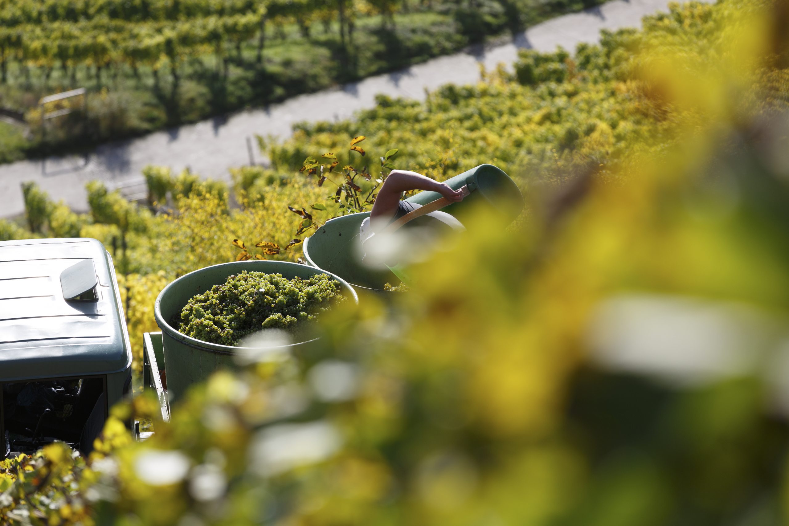 Foto 1 von Weingut Gebr. Geiger jun.