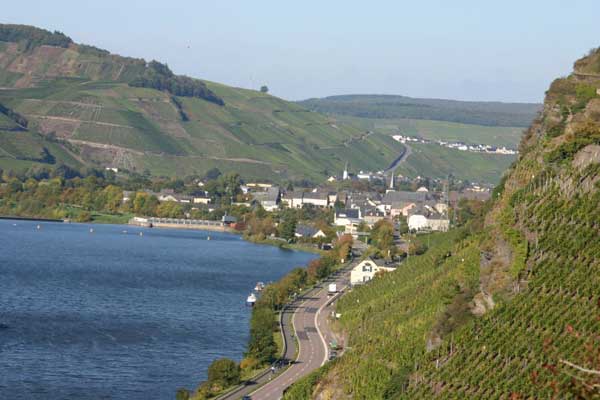 Foto 2 von Ferienweingut Matthiashof
