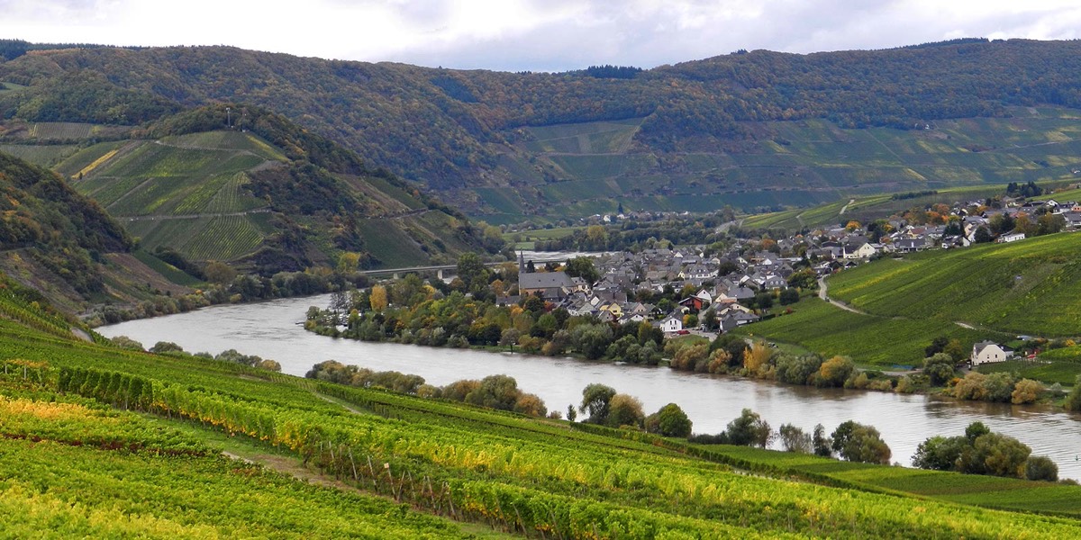 Foto 3 von Weingut Gebrüder Fass
