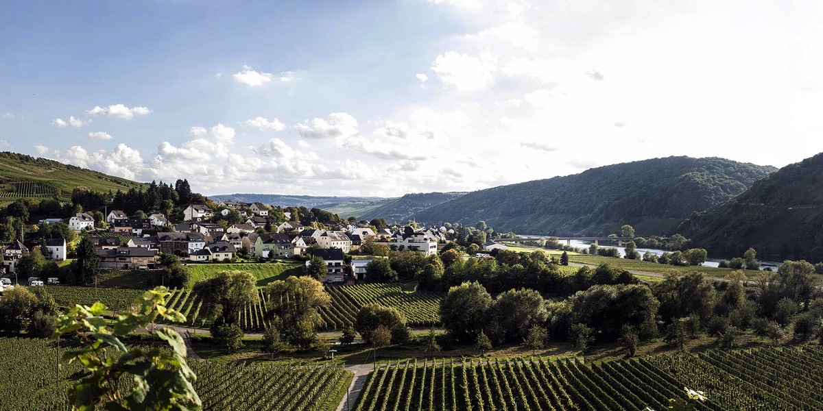 Foto 1 von Weingut Gebrüder Fass