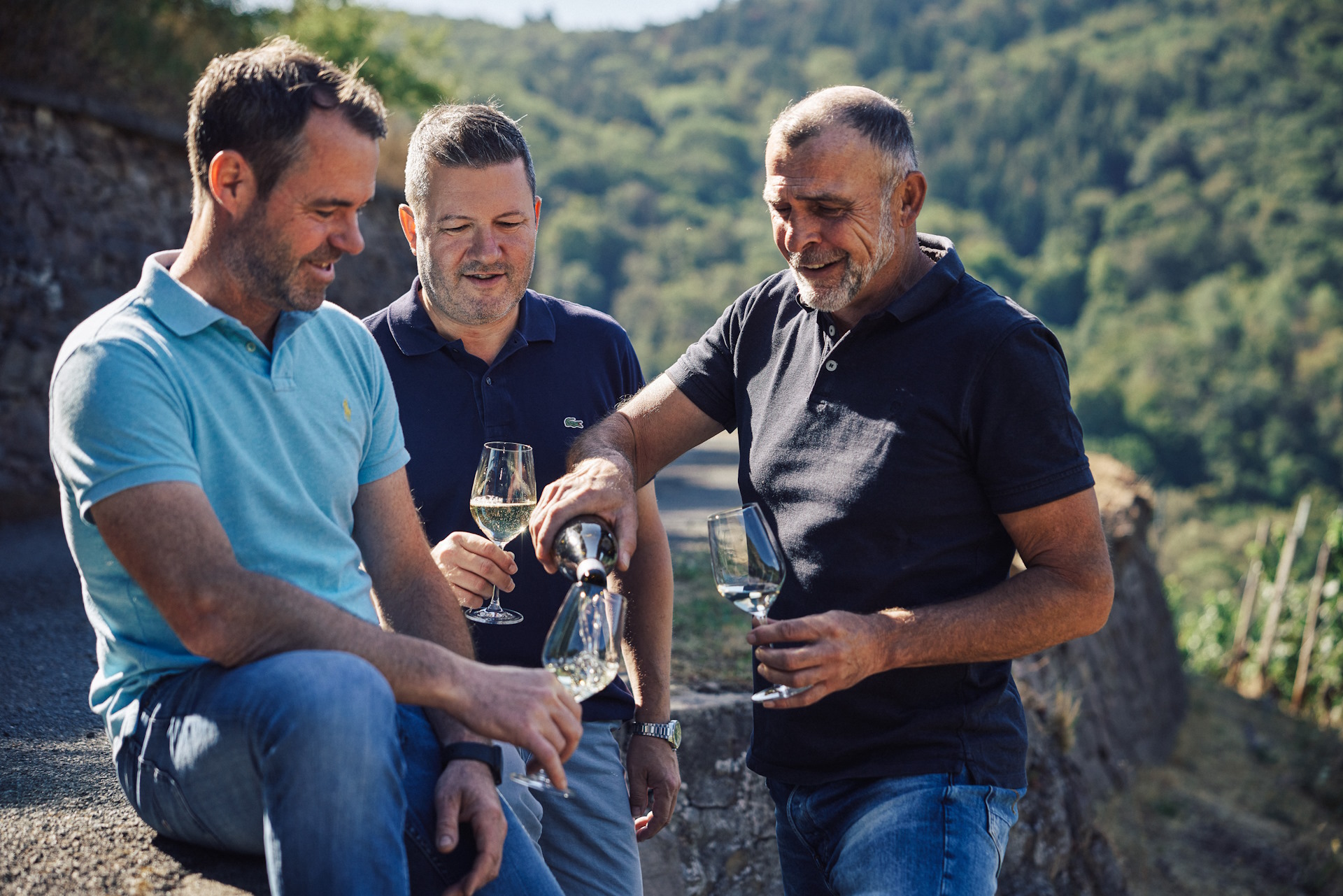 Weingut Gebrüder Kauer