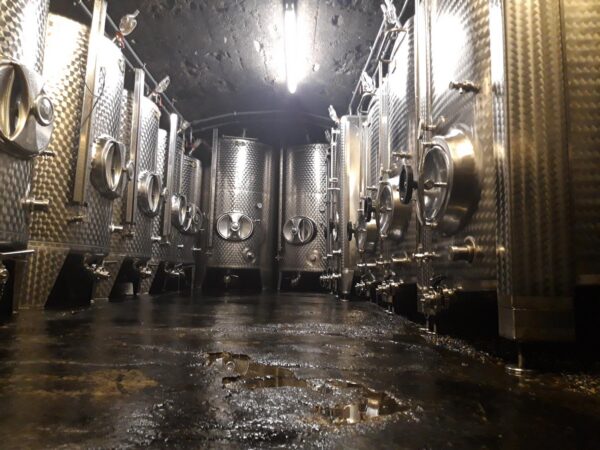 Фото 7 из Weingut Gebrüder Steffes