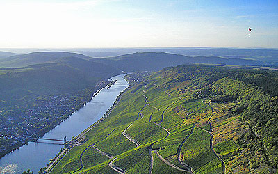 Foto 2 von Weingut Geller-Steffen GbR