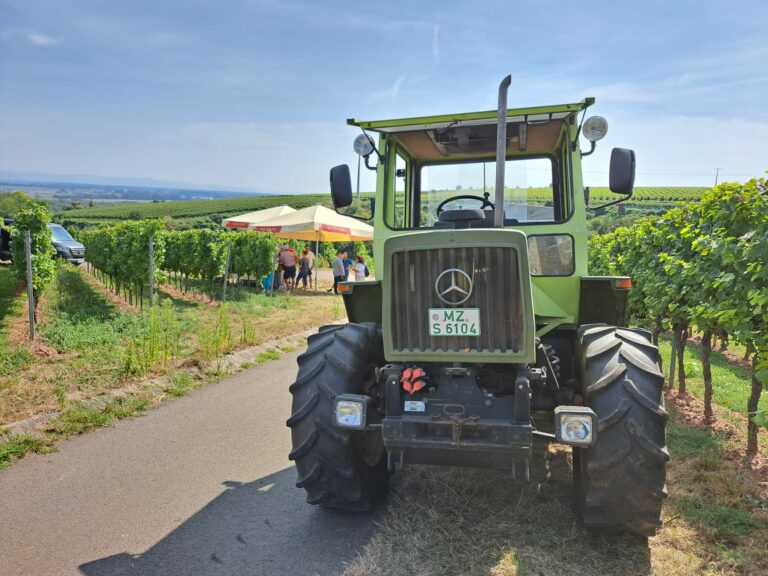 Foto 4 von Weingut Georg Gustav Huff
