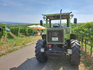 Foto 3 von Weingut Georg Gustav Huff