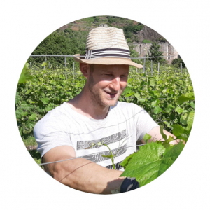Foto 1 von Ferienweingut Oster-Franzen