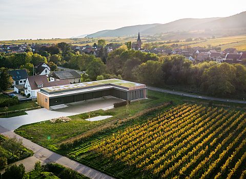 Foto 6 von Weingut Georg Mosbacher