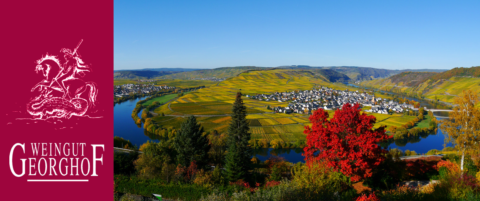 Foto 1 von Weingut Georghof