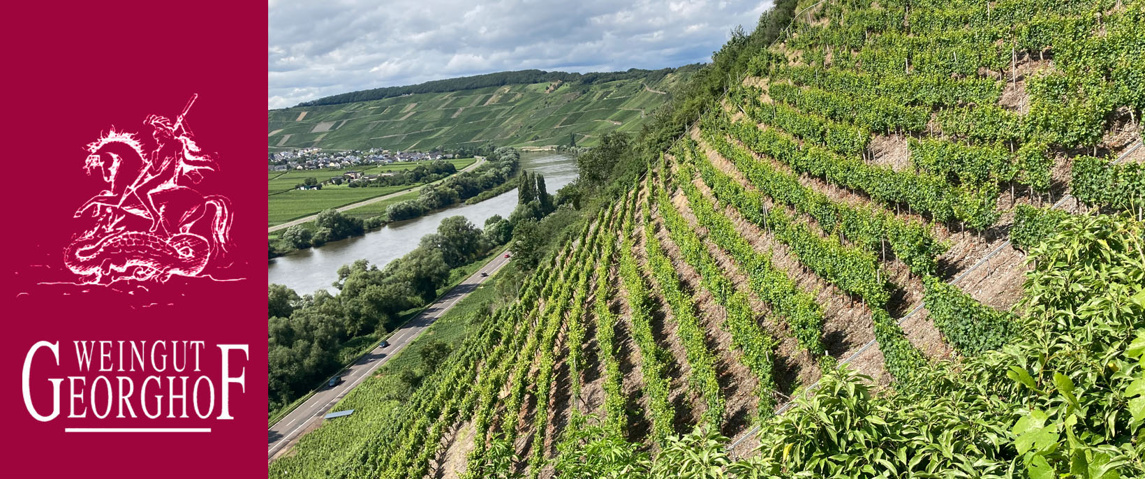 Foto 3 von Weingut Georghof