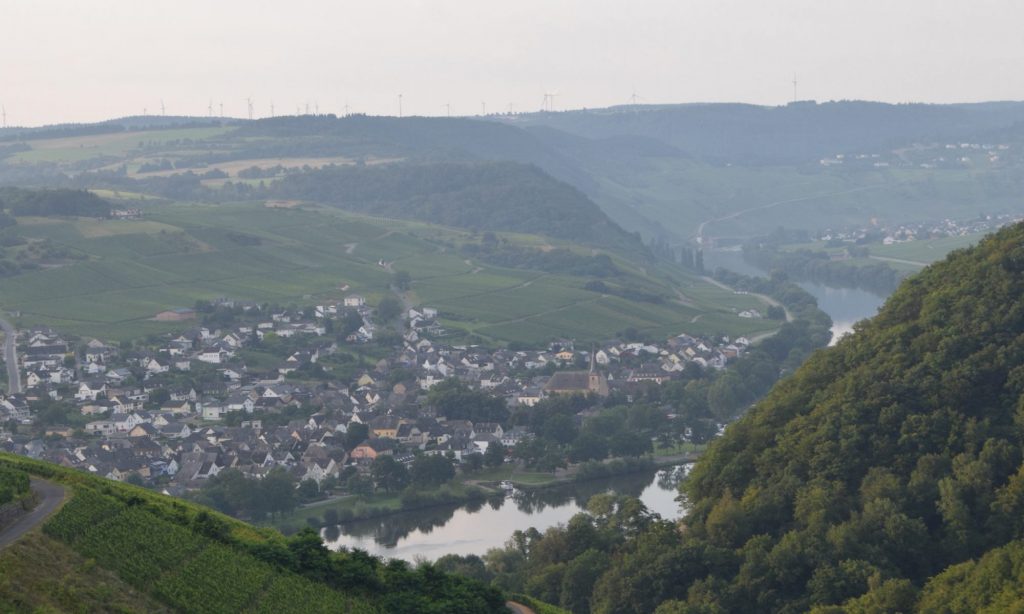 Foto 2 von Weingut Gerd Seibert