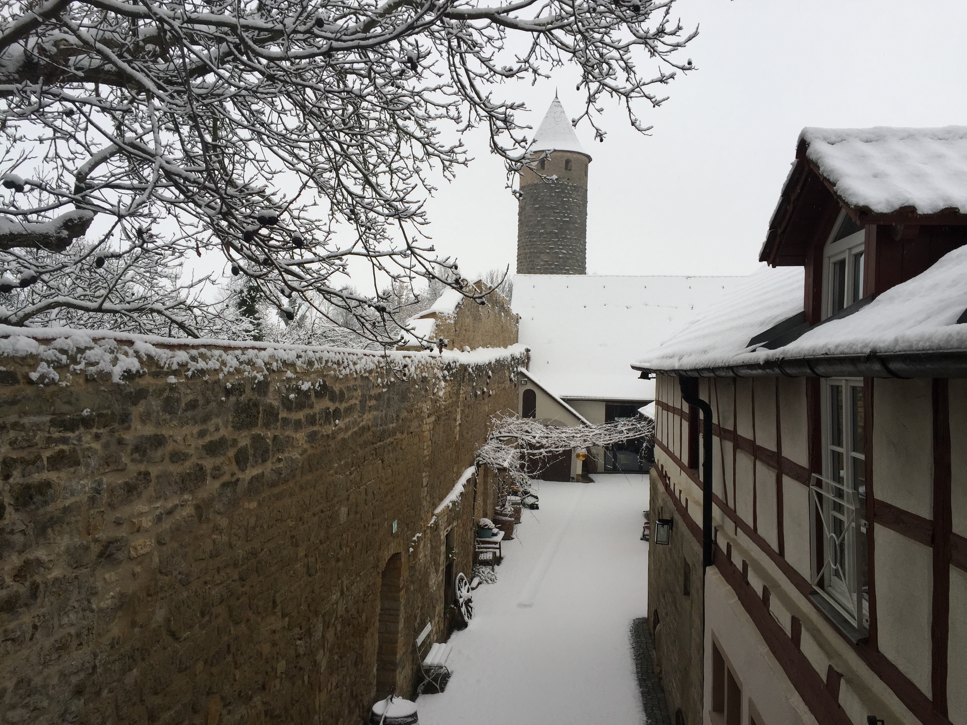 Foto 5 von Weingut Gerhard Fröhlich