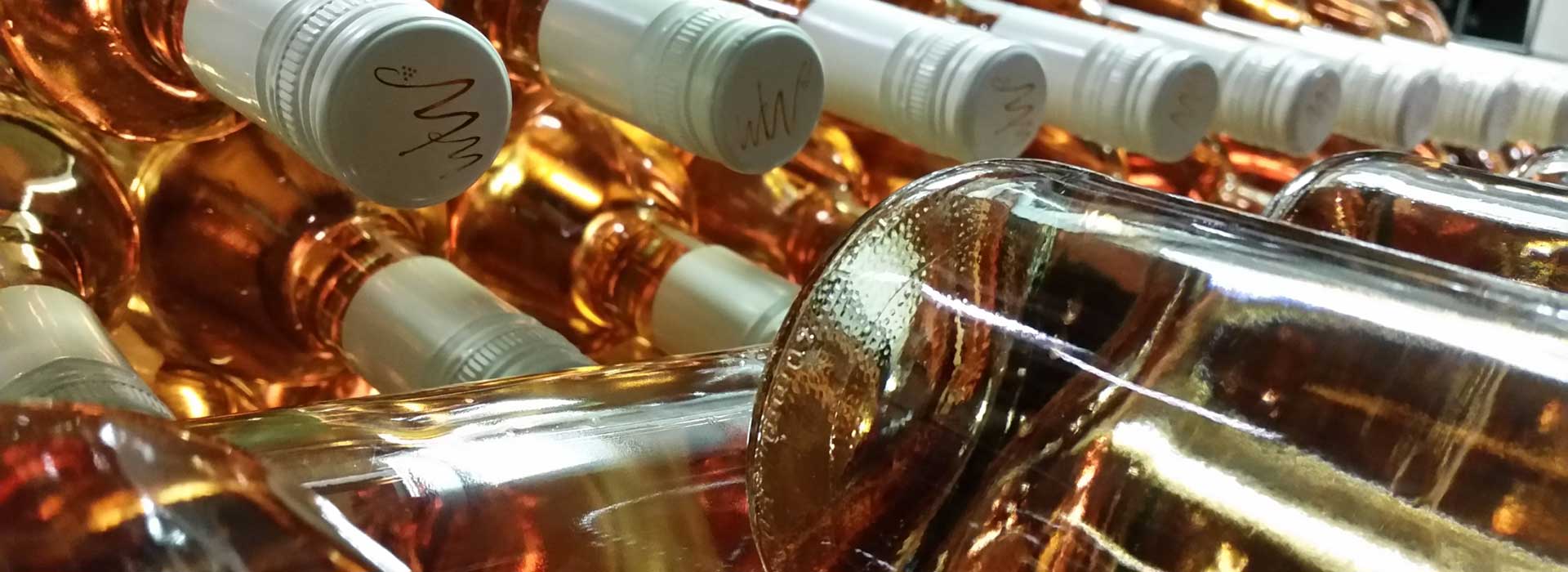 Foto 4 von Weingut Gerhard Walter
