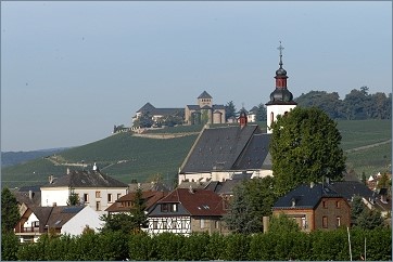 Foto 5 von Weingut Geromont