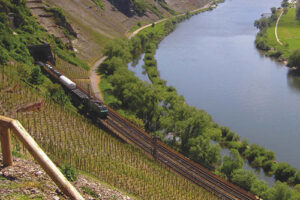 Foto 5 von Weingut Gibbert-Pohl