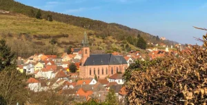 Foto 1 von Weingut Glaser