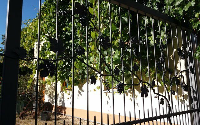 Foto 6 von Weingut Glöckner