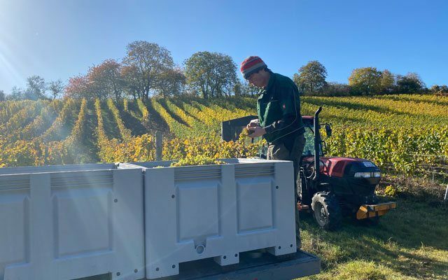 Foto 2 von Weingut Glöckner
