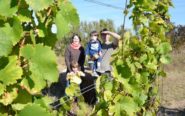 Foto 3 von Weingut Glöckner