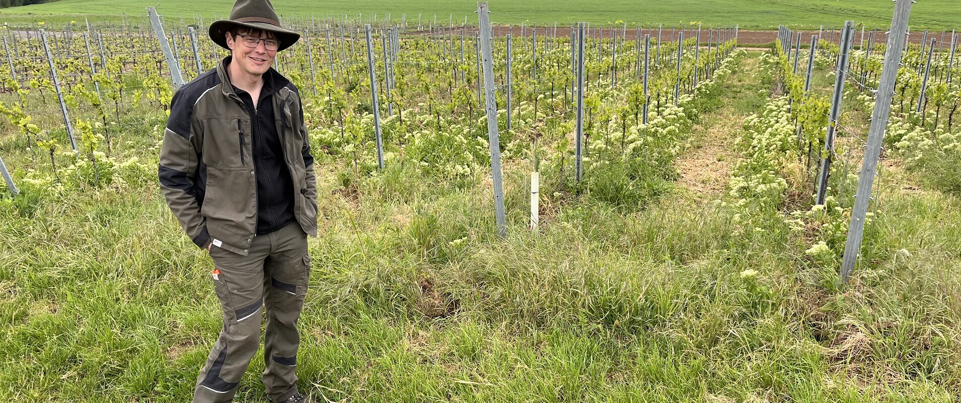 Foto 1 von Weingut Glöckner