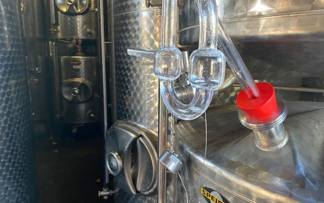 Foto 4 von Weingut Glöckner