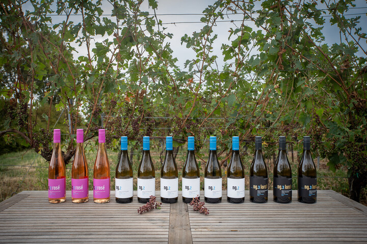 Weingut Gnägy