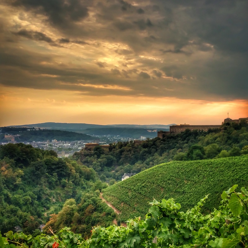 Foto 3 von Weingut Göhlen