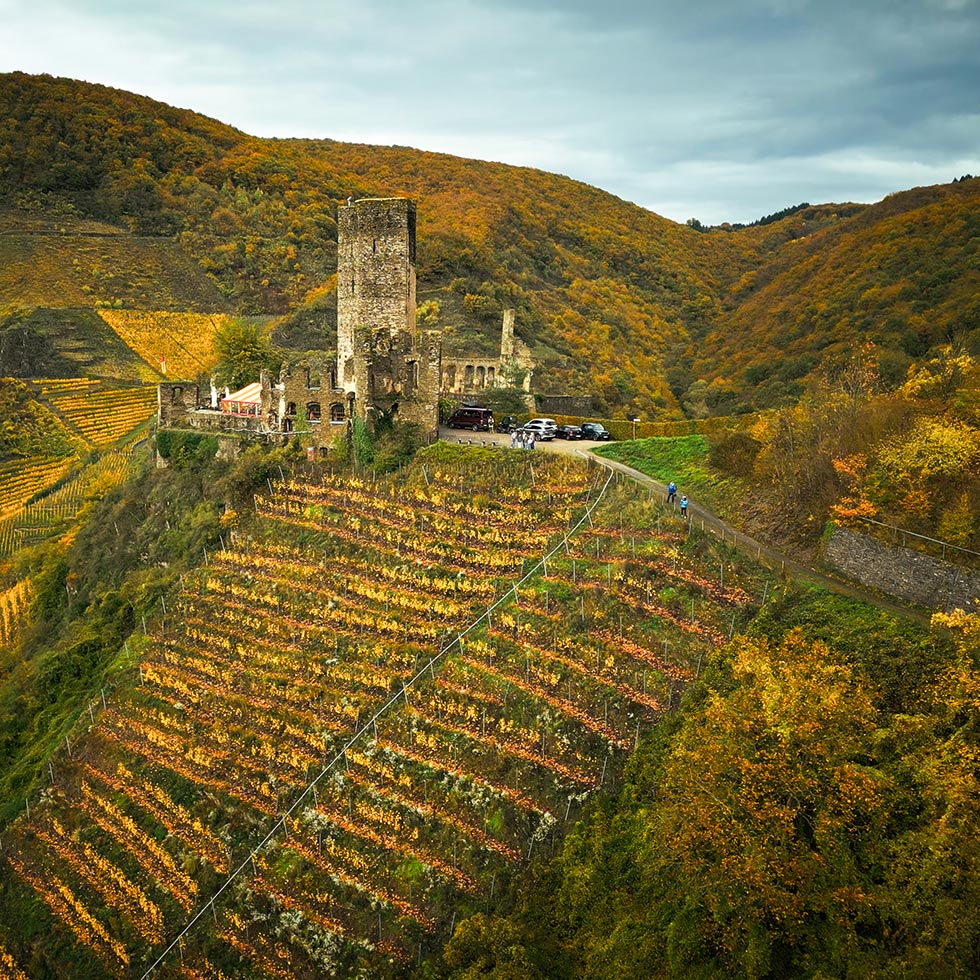 Foto 6 von Weingut Görgen