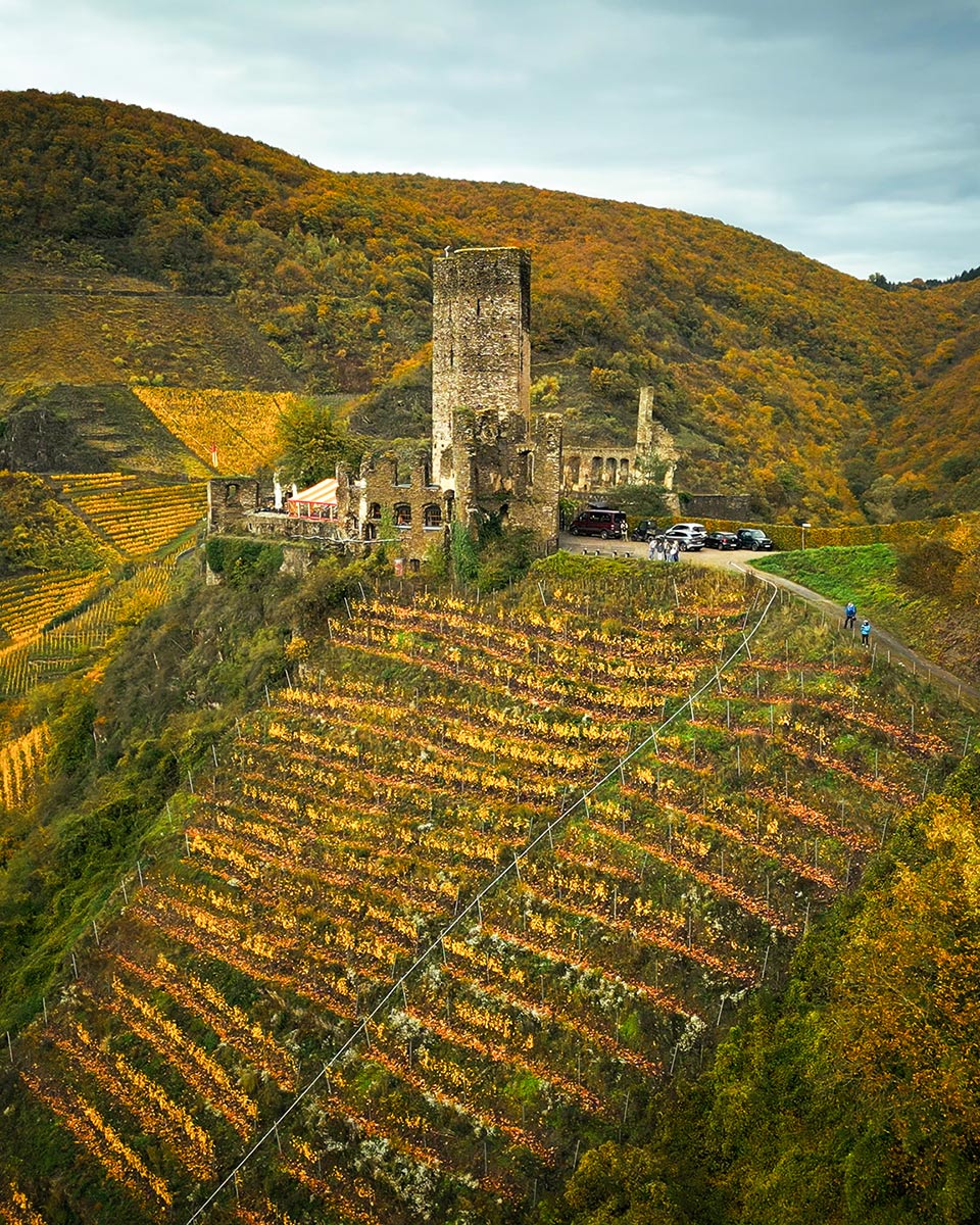 Foto 1 von Weingut Görgen