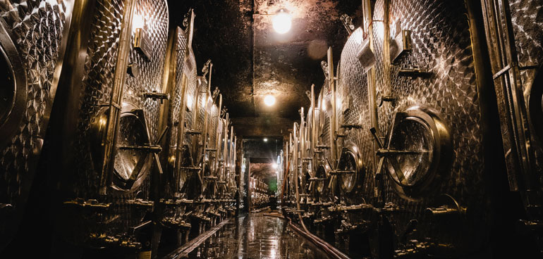 Фото 4 из Weingut Gorges-Müller