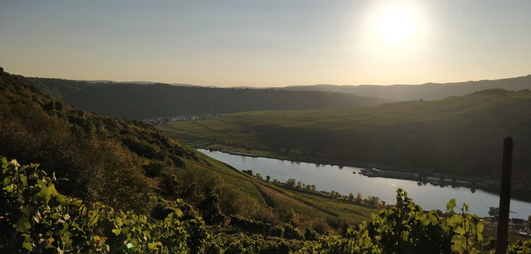 Фото 1 из Weingut Gorges-Müller