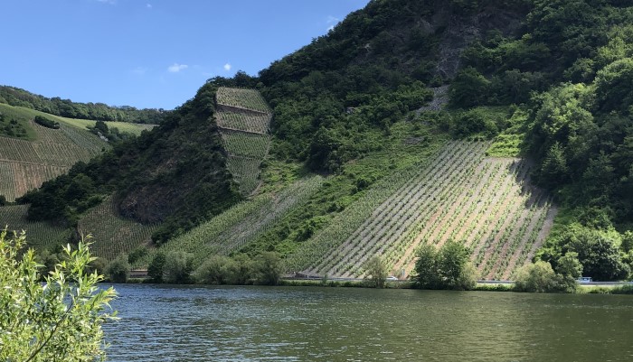 Weingut Gorges-Pelzer