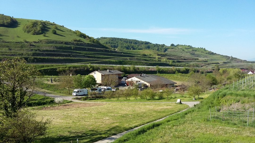 Foto 7 von Weingut Gregor und Thomas Schätzle