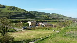Foto 5 von Weingut Gregor und Thomas Schätzle