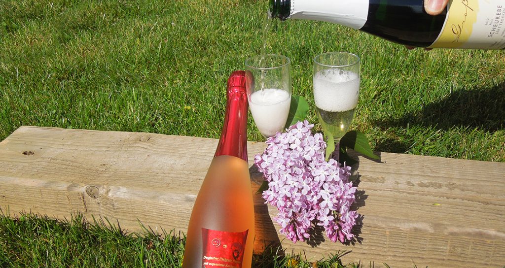 Foto 4 von Weingut Groß