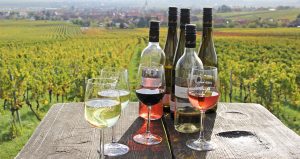 Foto 7 von Weingut Groß