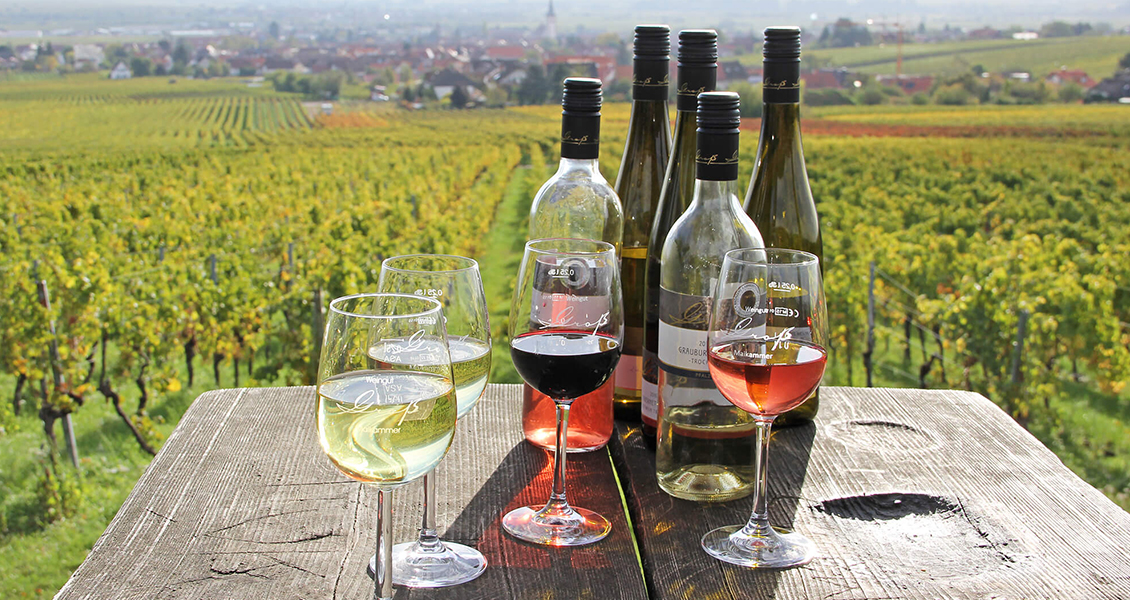Foto 6 von Weingut Groß