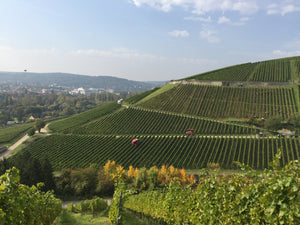 Foto 1 von Weingut Günther Bardorf