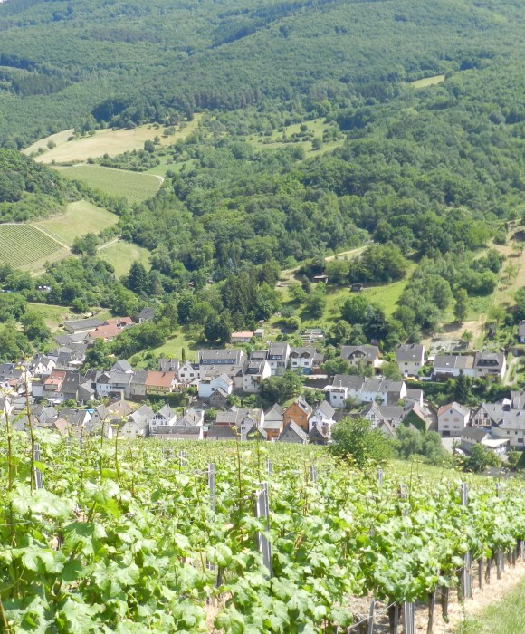 Foto 7 von Weingut Gutsausschank Pension Stassen