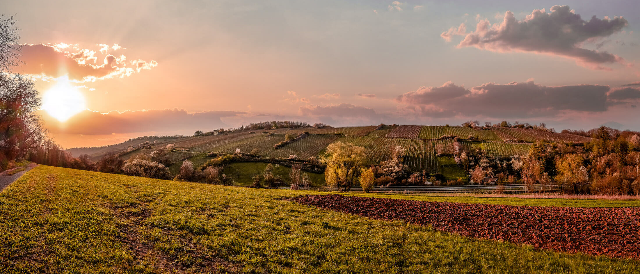 Weingut H. Deppisch