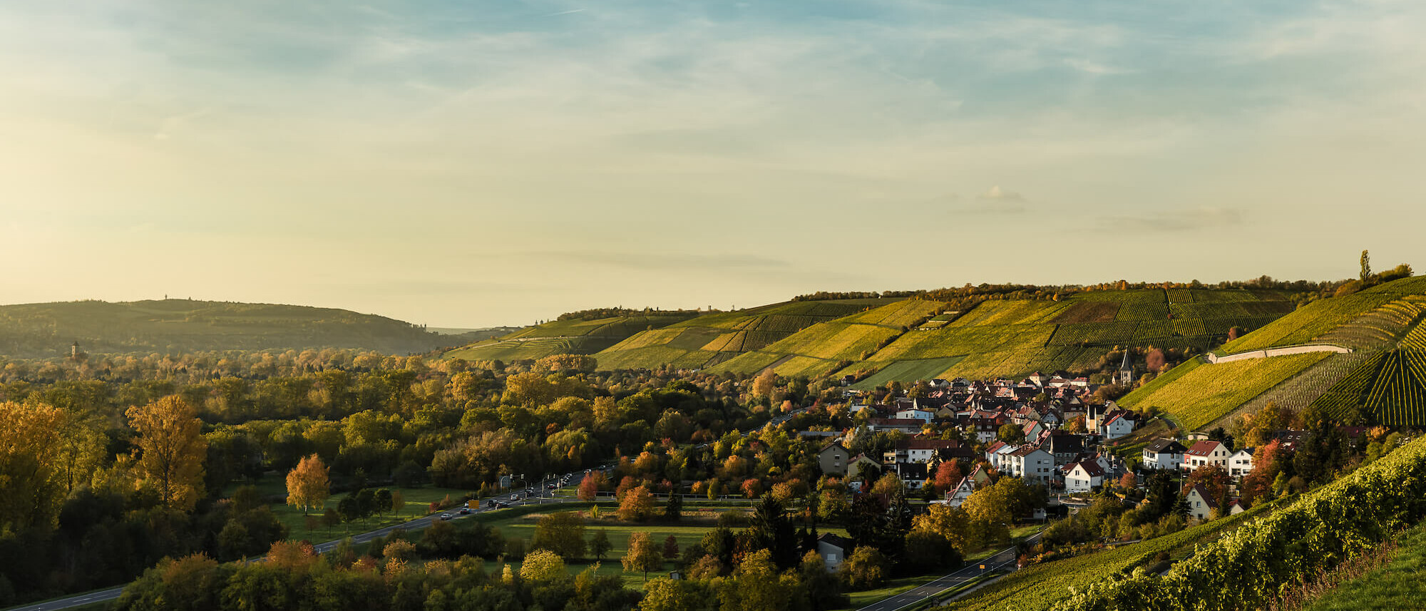 Foto 1 von Weingut H. Deppisch