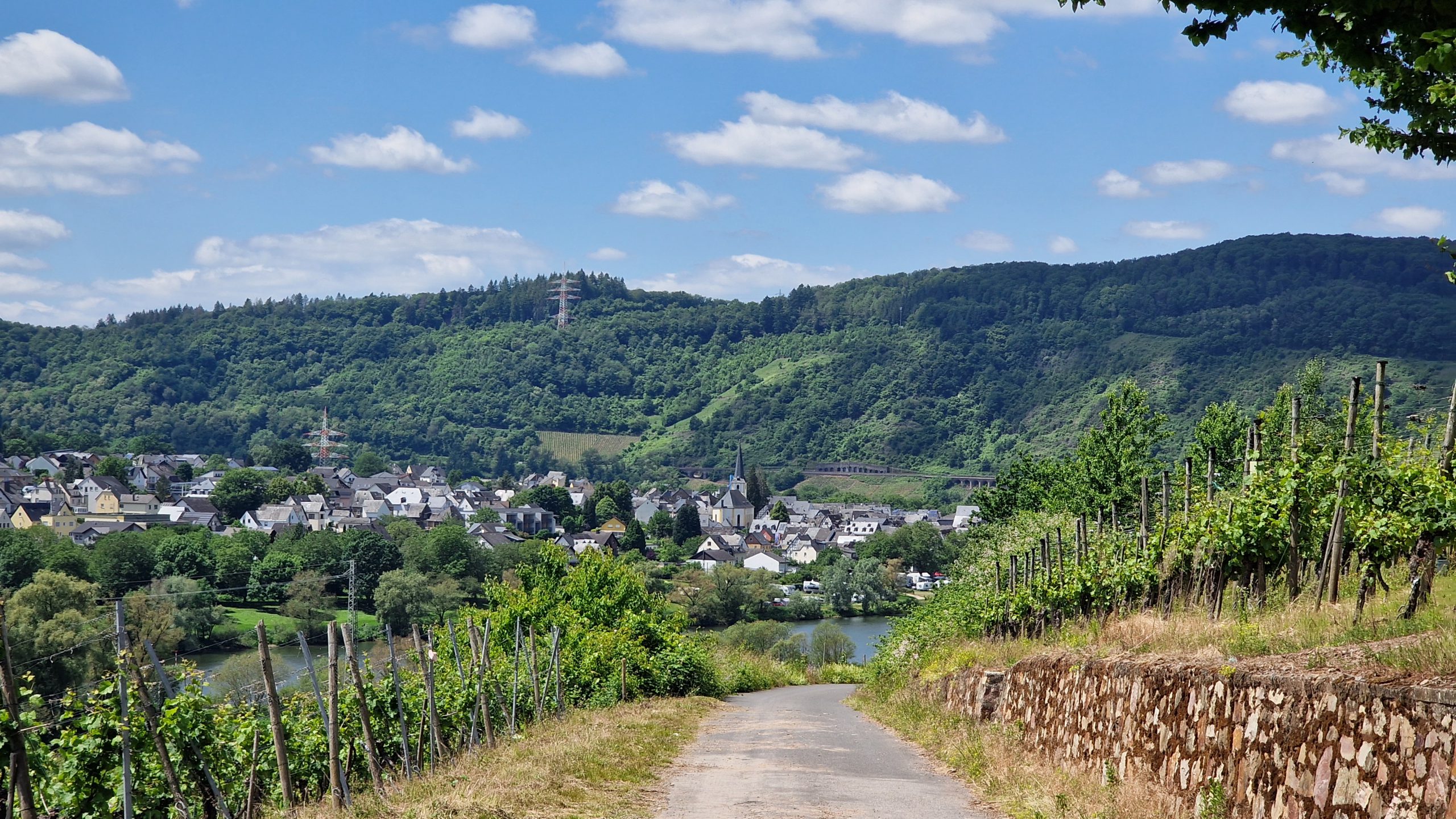 Foto 2 von Ferienweingut Wirtz-Peters