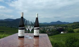 Weingut Hahn-Hof