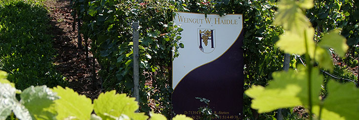 Foto 4 von Weingut Haidle