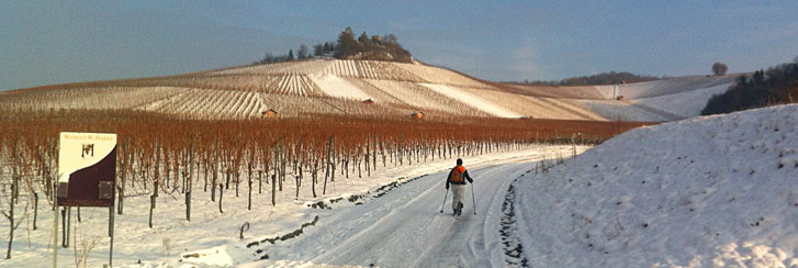 Foto 3 von Weingut Haidle