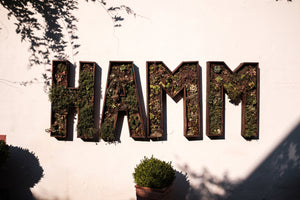 Weingut Hamm