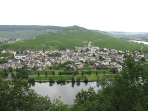 Foto 3 von Weingut Hammes-Diedrich