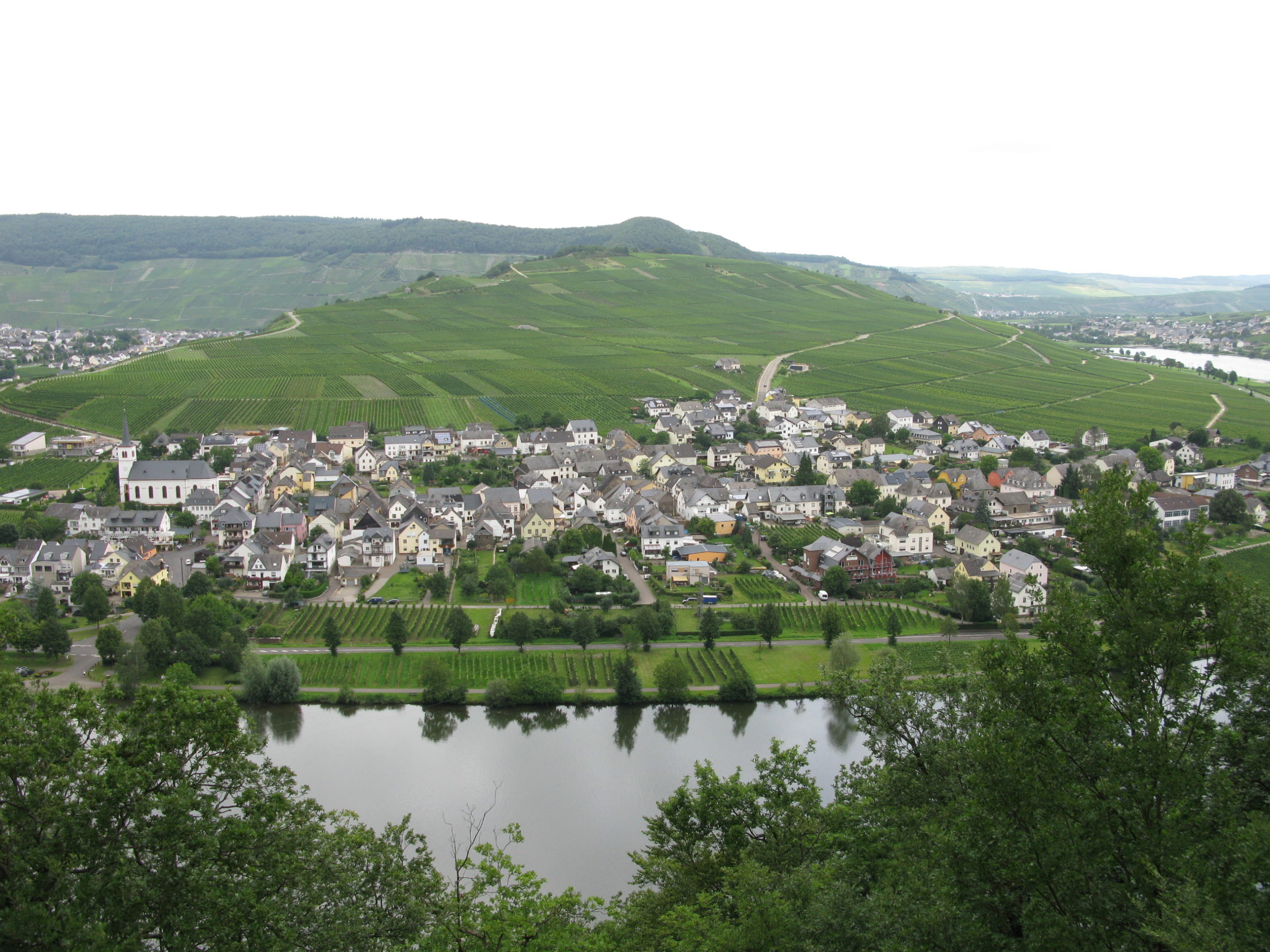 Foto 2 von Weingut Hammes-Diedrich