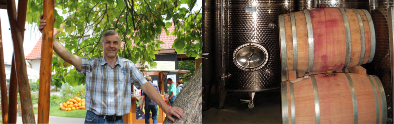 Weingut Hanke