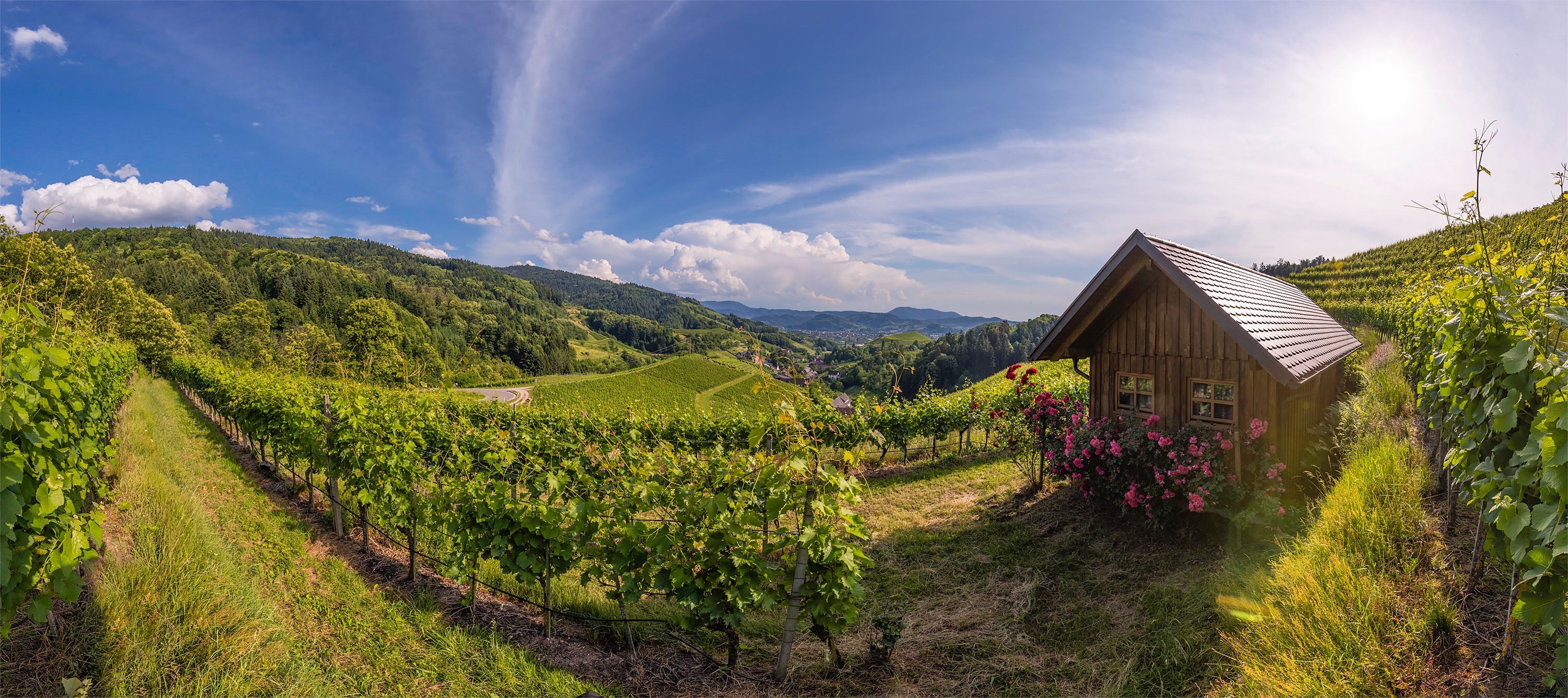 Weingut Hans-Peter Decker